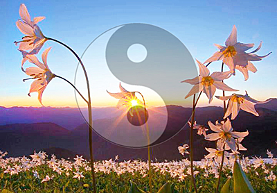 Стройность без диет и таблеток