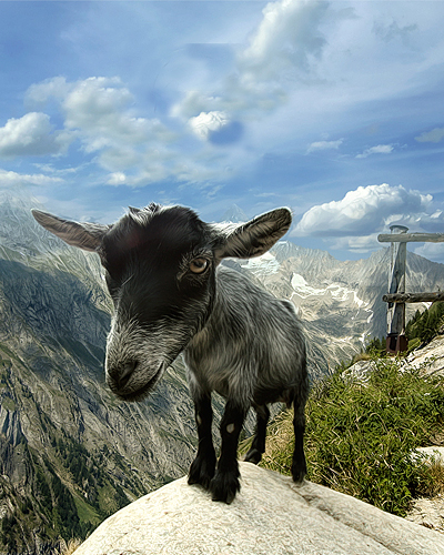 Все что нужно для счастья