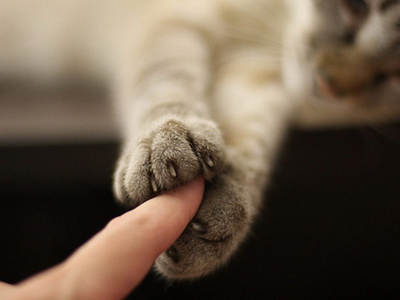 Современная притча о Независимой Женщине