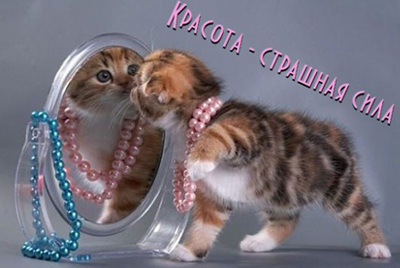 Красота страшная сила 