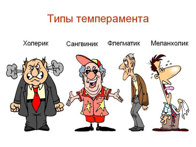 ВИДЫ ТЕМПАРМЕНТА